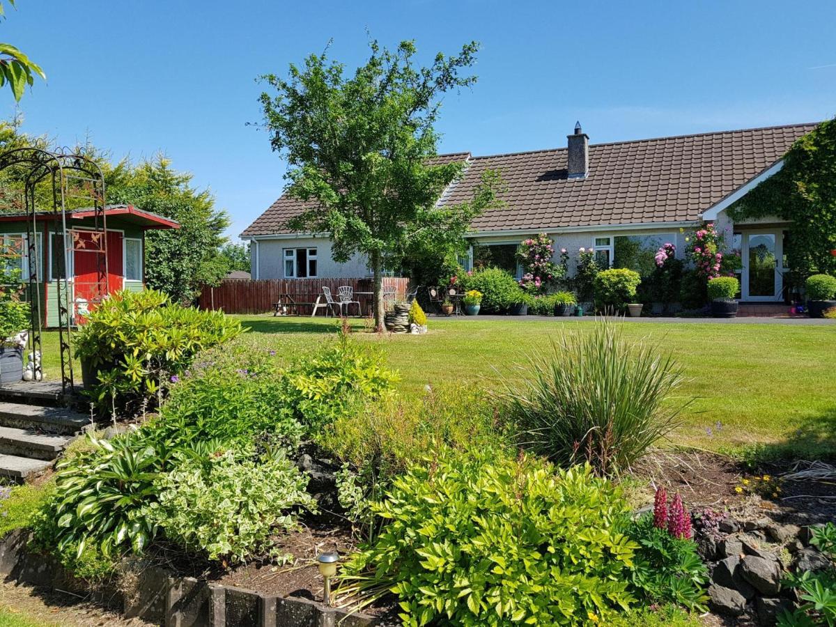 Meadow View B&B Ballymena Exterior foto