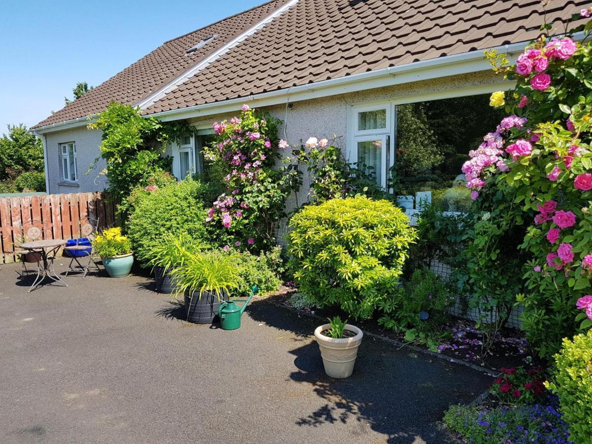 Meadow View B&B Ballymena Exterior foto