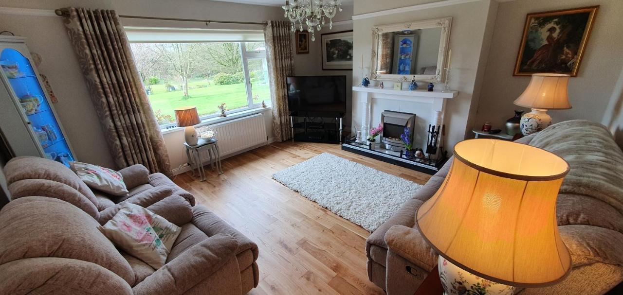 Meadow View B&B Ballymena Exterior foto